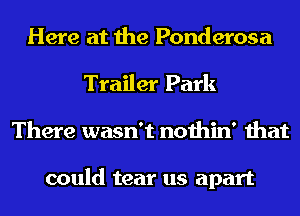Here at the Ponderosa
Trailer Park
There wasn't nothin' that

could tear us apart