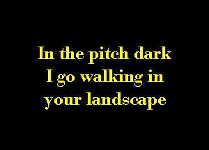 In the pitch dark
I go walking in

your landscape

g