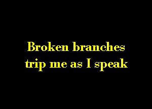 Broken branches
trip me as I speak

g