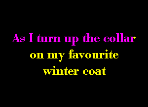 As Iturn up the collar

on my favourite
Winter coat