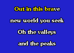 Out in this brave

new world you seek

Oh the valleys

and the peaks