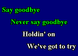 Say goodbye
N ever say goodbye

Holdin' on

W e've got to try