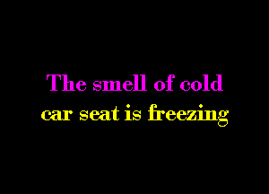 The smell of cold

car seat is freezing

g