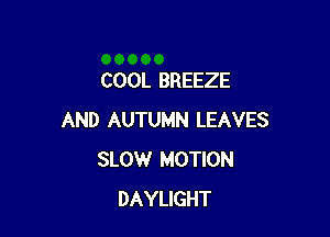 COOL BREEZE

AND AUTUMN LEAVES
SLOW MOTION
DAYLIGHT