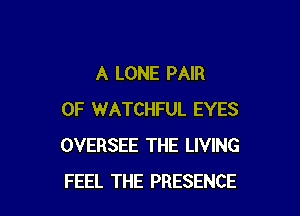 A LONE PAIR

OF WATCHFUL EYES
OVERSEE THE LIVING
FEEL THE PRESENCE