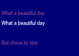 What a beautiful day