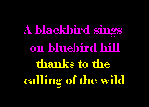 A blackbird sings
on bluebird hill

thanks to the
calling of the wild

g