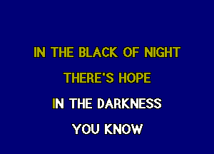 IN THE BLACK 0F NIGHT

THERE'S HOPE
IN THE DARKNESS
YOU KNOW