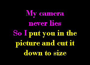 My camera
never lies
So I put you in the
picture and cut it

down to size I