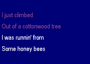 l was runnin' from

Some honey bees