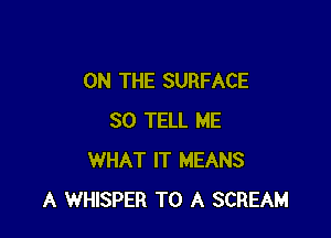 ON THE SURFACE

SO TELL ME
WHAT IT MEANS
A WHISPER TO A SCREAM