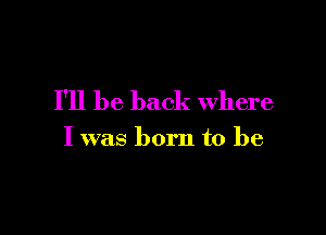 I'll be back Where

I was born to be