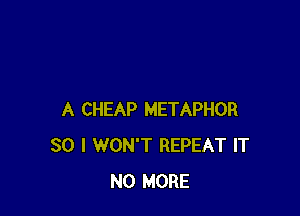 A CHEAP METAPHOR
SO I WON'T REPEAT IT
NO MORE