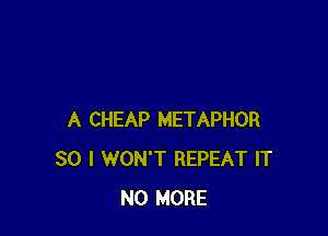 A CHEAP METAPHOR
SO I WON'T REPEAT IT
NO MORE