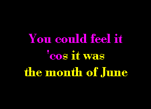 You could feel it
'cos it was
the month of June

g