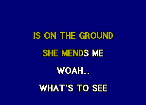 IS ON THE GROUND

SHE MENDS ME
WOAH..
WHAT'S TO SEE