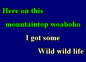 Here on this

mountaintop woahoho

I got some

W ild wild life