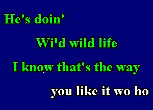 He's doin'
W i'd wild life

I know that's the way

you like it wo ho