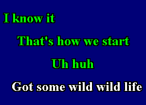 I know it

That's how we start

Uh huh

Got some wild wild life