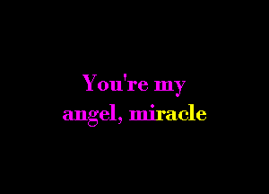 You're my

angel, miracle