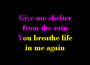 Give me shelter
from the rain

You breathe life

in me again

g