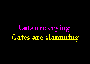 Cats are crying

Gates are slamming