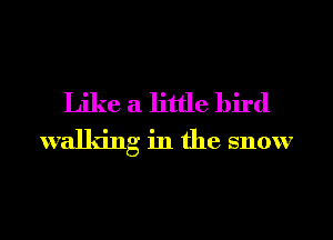 Like a little bird

walldng in the snow