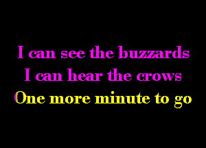 I can see the huzzards
I can hear the crows
One more minute to go