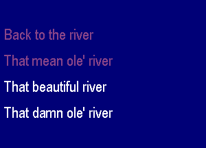 That beautiful river

That damn ole' river