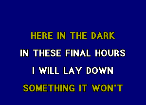 HERE IN THE DARK

IN THESE FINAL HOURS
I WILL LAY DOWN
SOMETHING IT WON'T