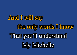 And I will say

the only words I know
That you'll understand
My Michelle