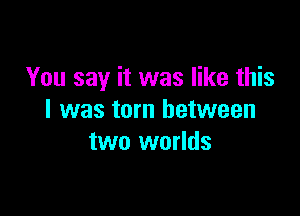 You say it was like this

I was torn between
two worlds