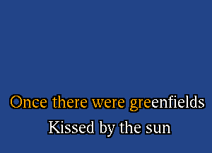 Once there were greenfields

Kissed by the sun