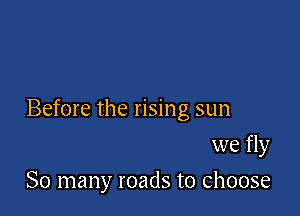 Before the rising sun

we fly
So many roads to Choose