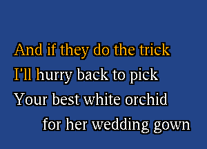 And if they do the trick

I'll hurry back to pick

Your best white orchid
for her wedding gown