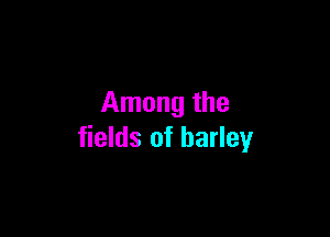 Among the

fields of barley