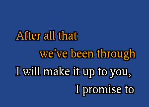 After all that
we've been through

I will make it up to you,

I promise to