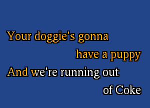 Your doggie's gonna
have a puppy

And we're running out
of Coke