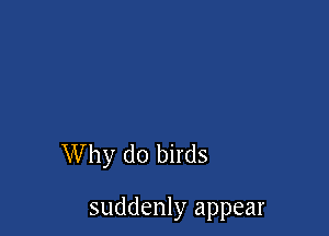 Why do birds

suddenly appear