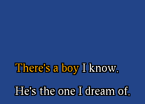 There's a boy I know.

He's the one I dream of.