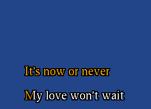 It's now or never

My love won't wait
