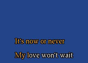 It's now or never

My love won't wait