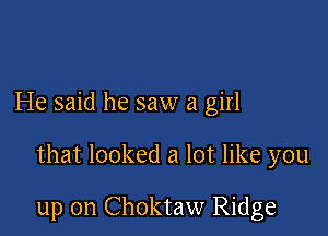 He said he saw a girl

that looked a lot like you

up on Choktaw Ridge