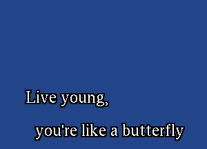 Live young,

you're like a butterfly