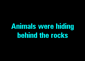 Animals were hiding

behind the rocks