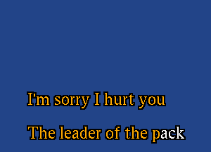 I'm sorry I hurt you

The leader of the pack
