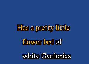 Has a pretty little

flower bed of

white Gardenias