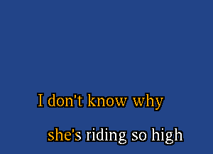 I don't know why

she's riding so high