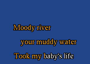 Moody river

your muddy water

Took my baby's life