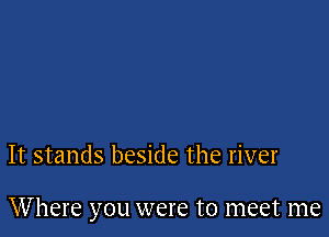 It stands beside the river

Where you were to meet me